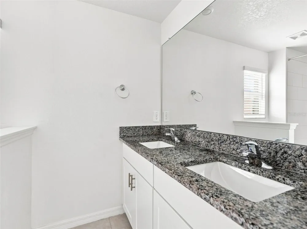 10317 TRUMPET HONEYSUCKLE WAY San Antonio, FL 33576