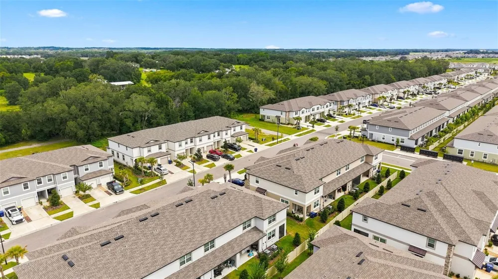 10317 TRUMPET HONEYSUCKLE WAY San Antonio, FL 33576
