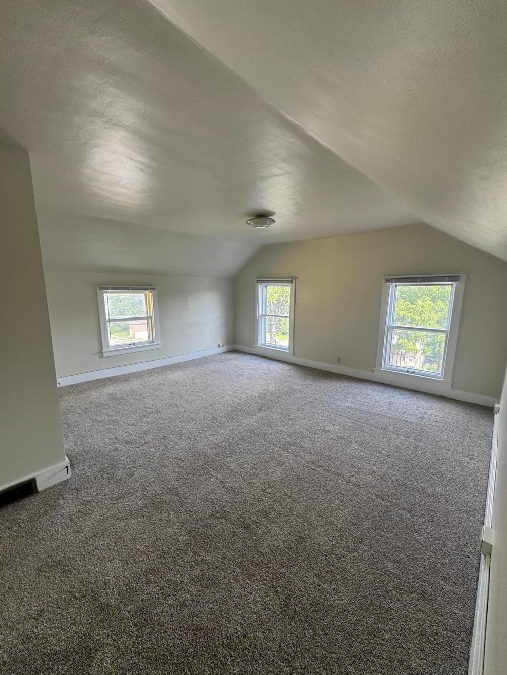 205 Elmwood Street E Lanesboro, MN 55949