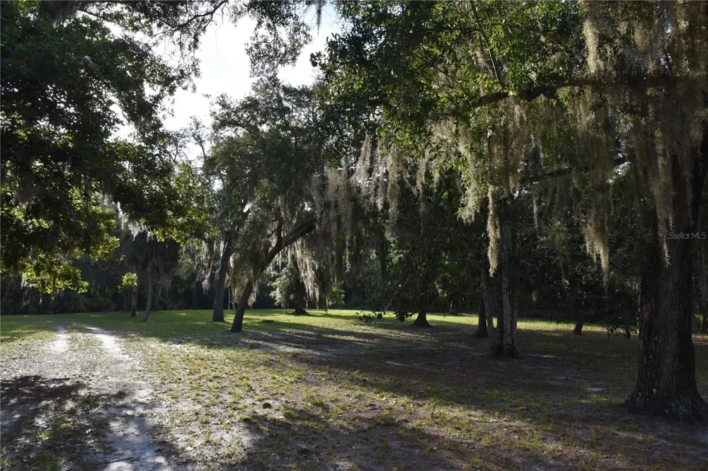 5351 SW COUNTY ROAD 347 Cedar Key, FL 32625
