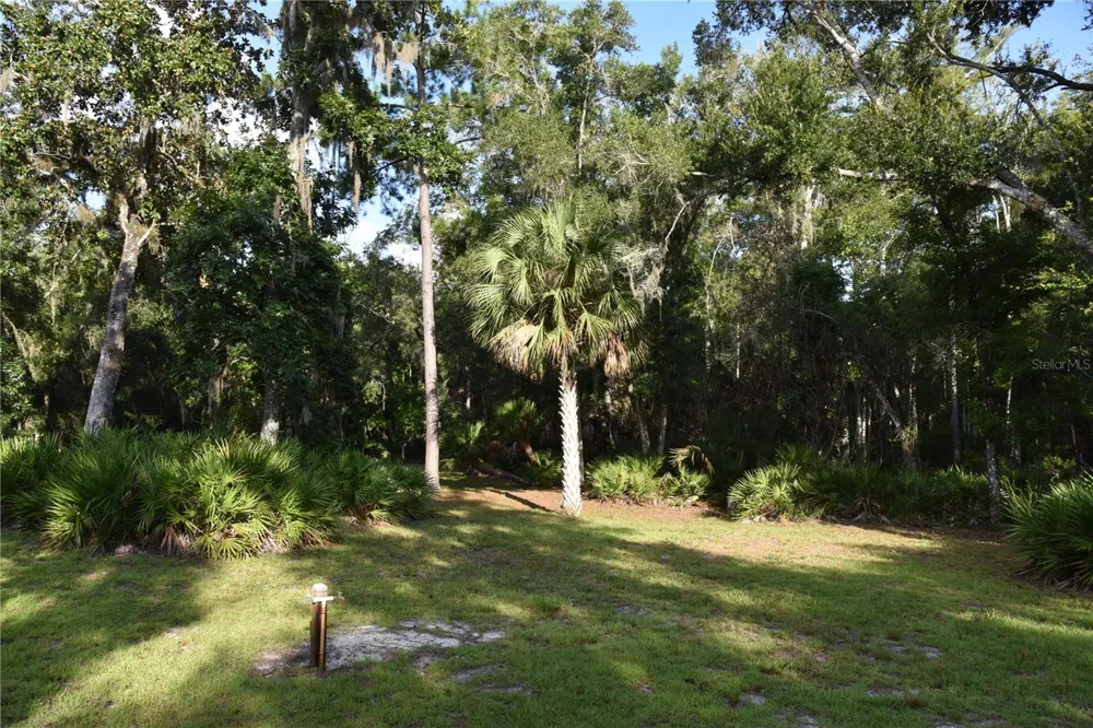 5351 SW COUNTY ROAD 347 Cedar Key, FL 32625