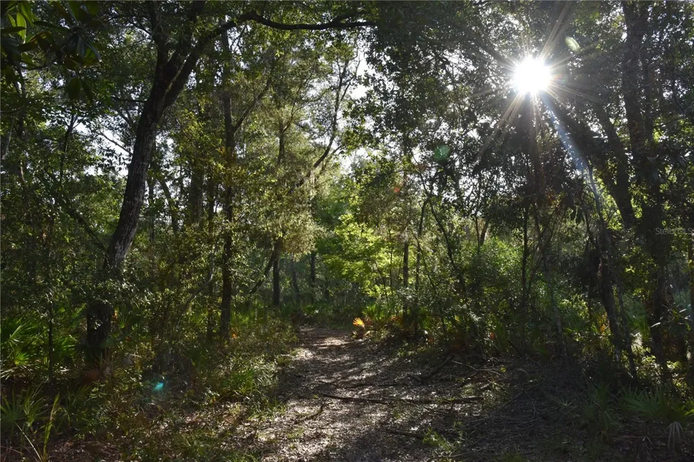 5351 SW COUNTY ROAD 347 Cedar Key, FL 32625