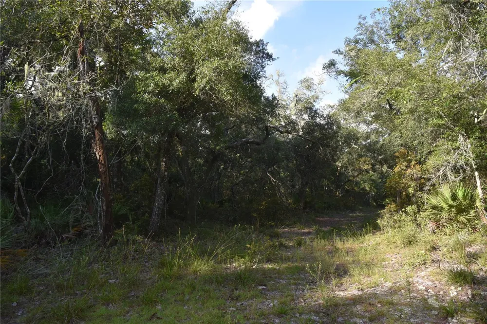 5351 SW COUNTY ROAD 347 Cedar Key, FL 32625