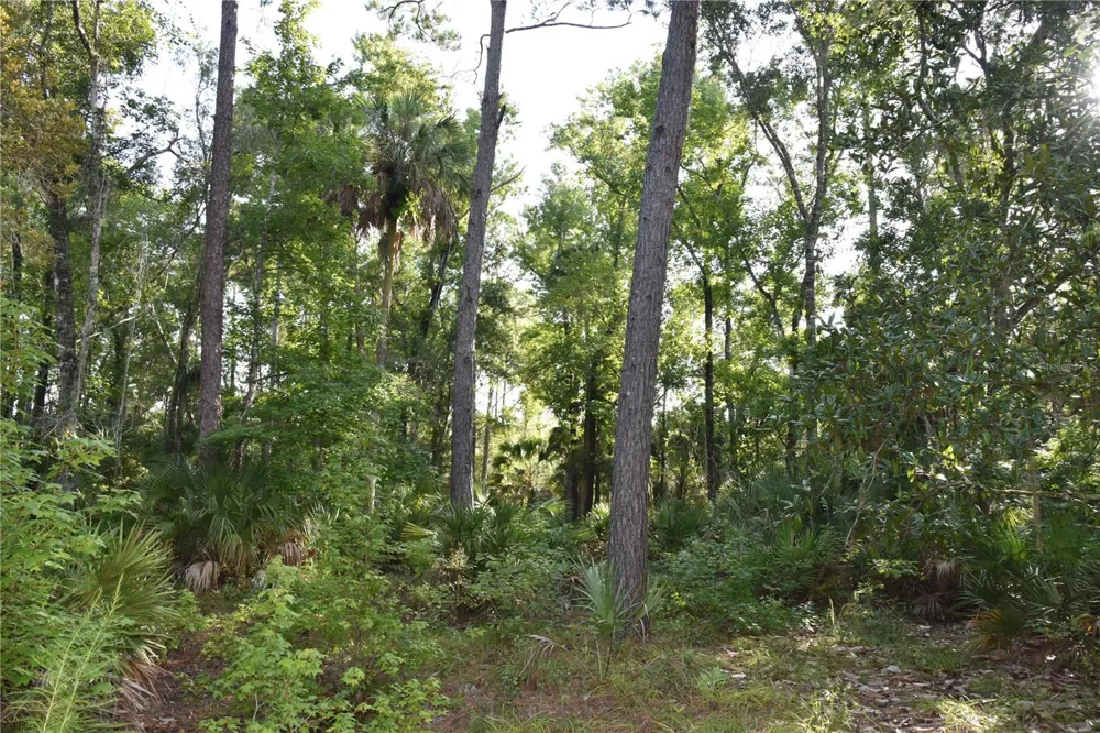 5351 SW COUNTY ROAD 347 Cedar Key, FL 32625