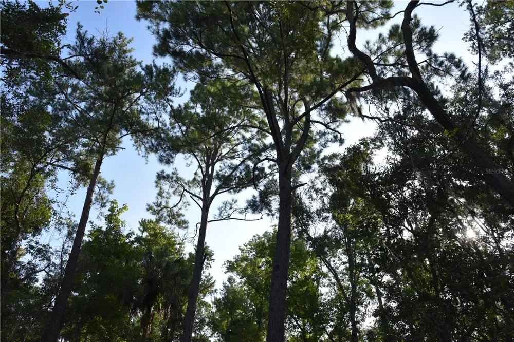 5351 SW COUNTY ROAD 347 Cedar Key, FL 32625