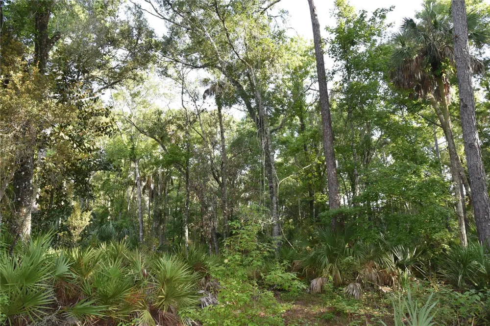 5351 SW COUNTY ROAD 347 Cedar Key, FL 32625
