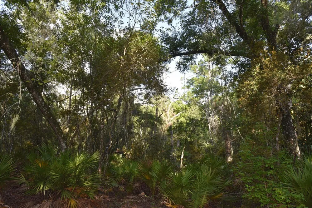 5351 SW COUNTY ROAD 347 Cedar Key, FL 32625