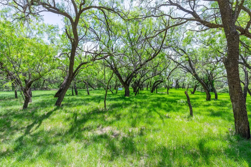 1010 Mesquite Lane Abilene, TX 79601