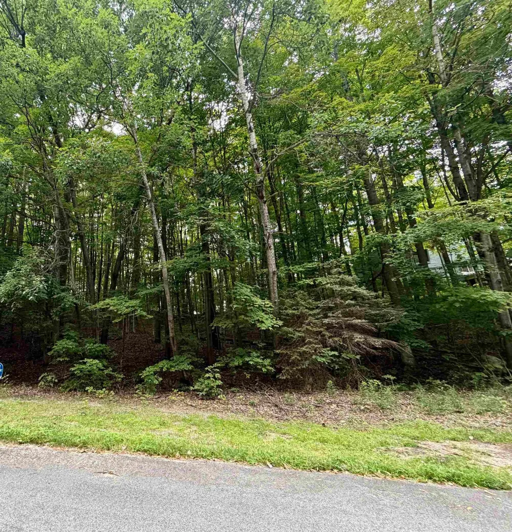 Wasservalden Custer Township, MI 49615