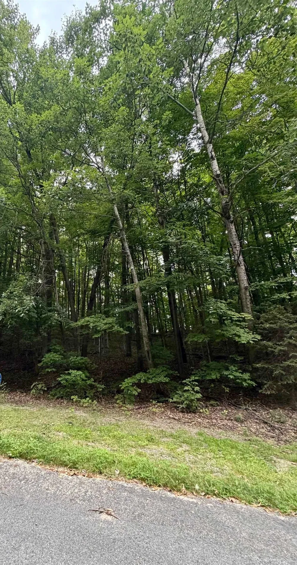 Wasservalden Custer Township, MI 49615
