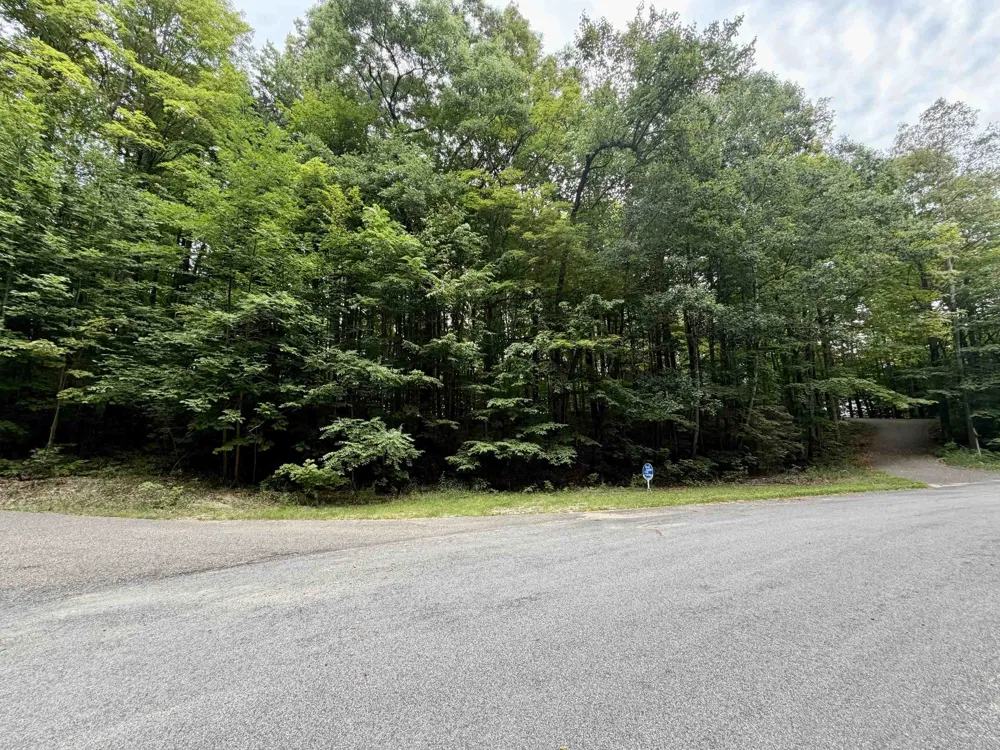 Wasservalden Custer Township, MI 49615