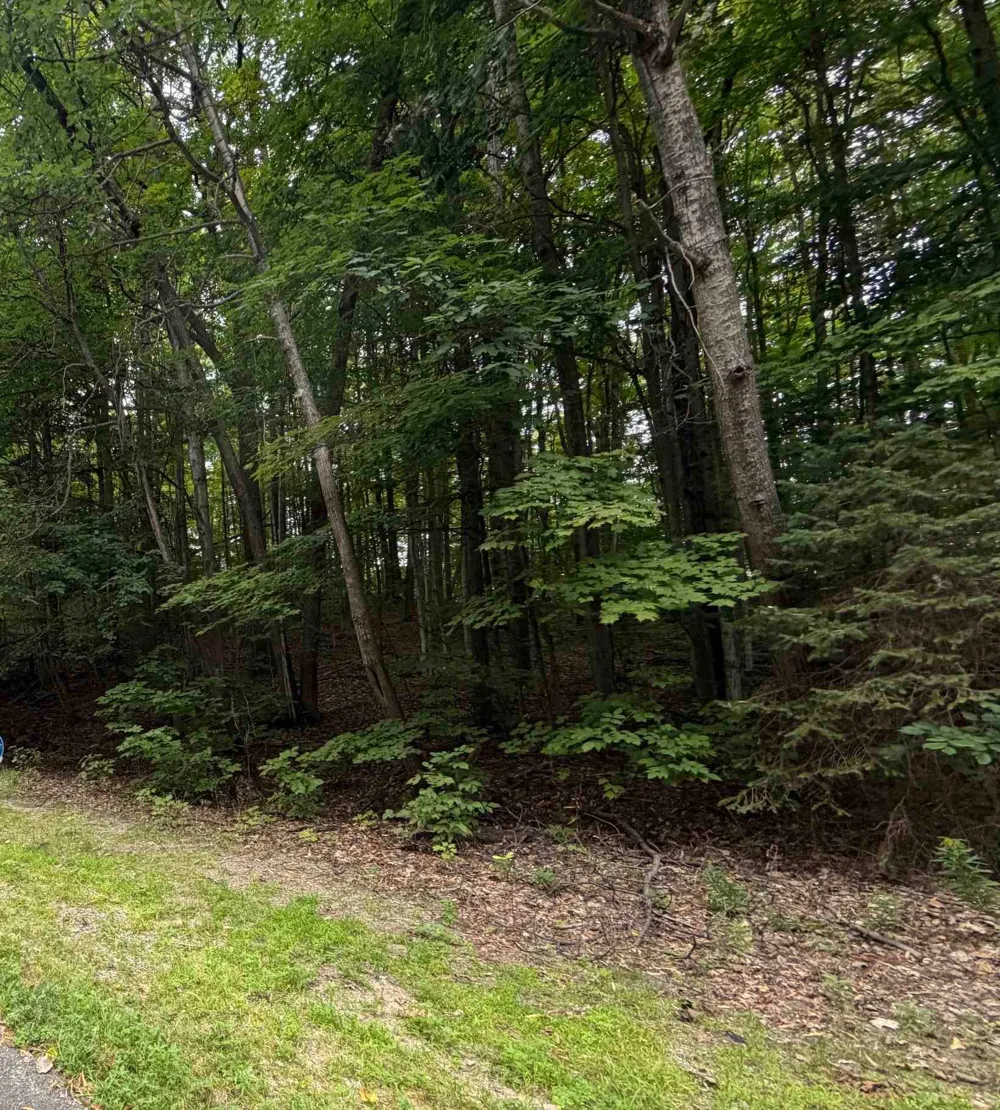 Wasservalden Custer Township, MI 49615