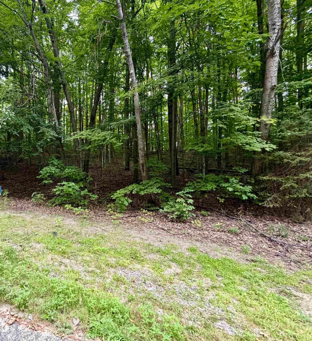 Wasservalden Custer Township, MI 49615