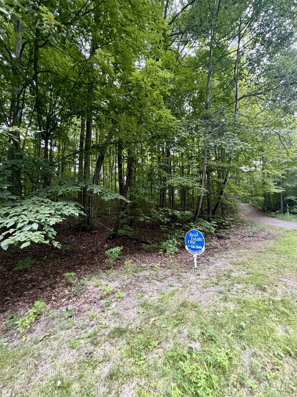 Wasservalden Custer Township, MI 49615