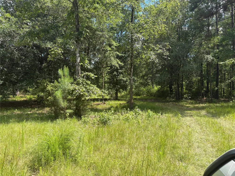 3133 County Road 4525 Warren, TX 77664