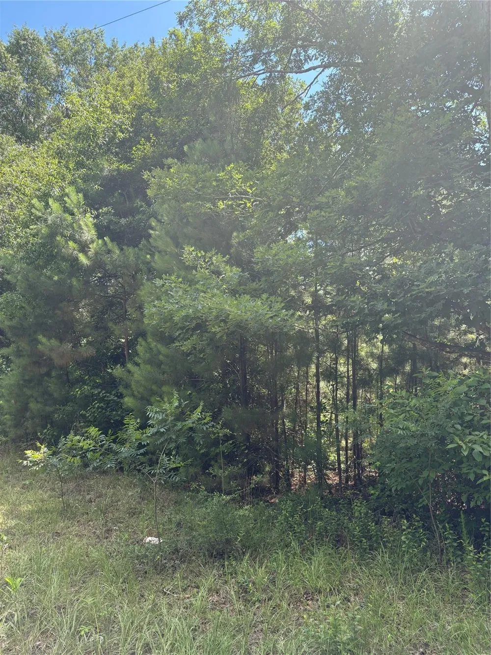 3133 County Road 4525 Warren, TX 77664