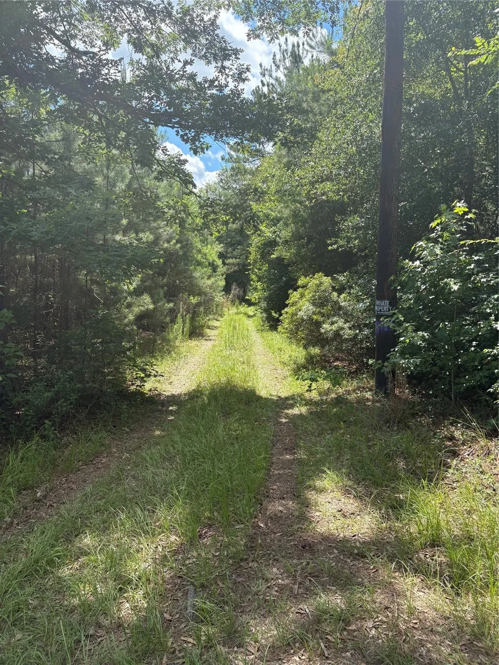 3133 County Road 4525 Warren, TX 77664