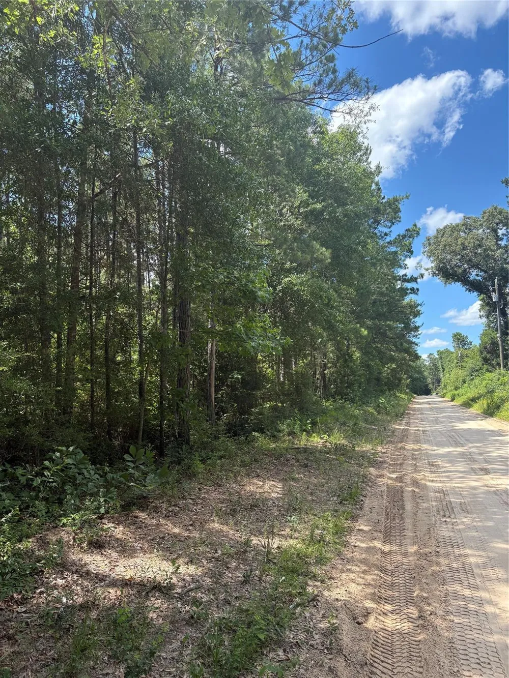 3133 County Road 4525 Warren, TX 77664