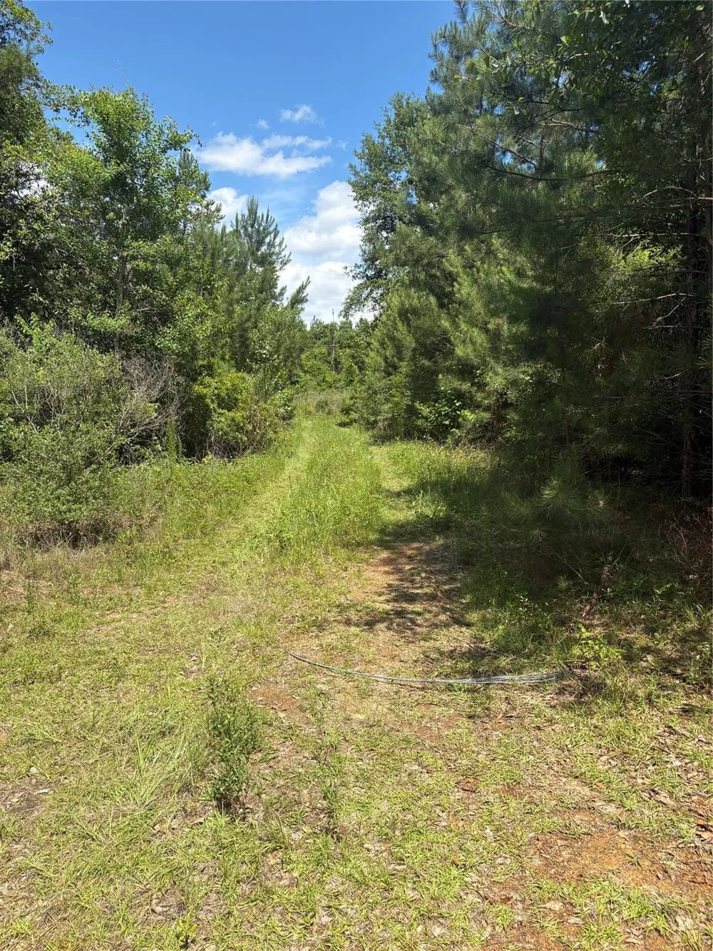 3133 County Road 4525 Warren, TX 77664