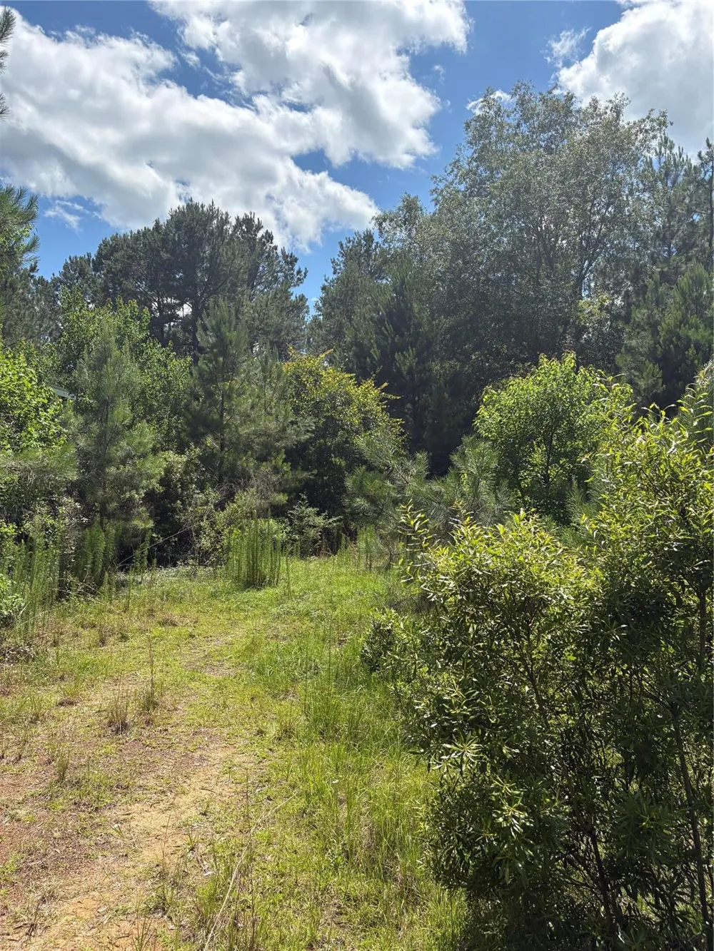 3133 County Road 4525 Warren, TX 77664