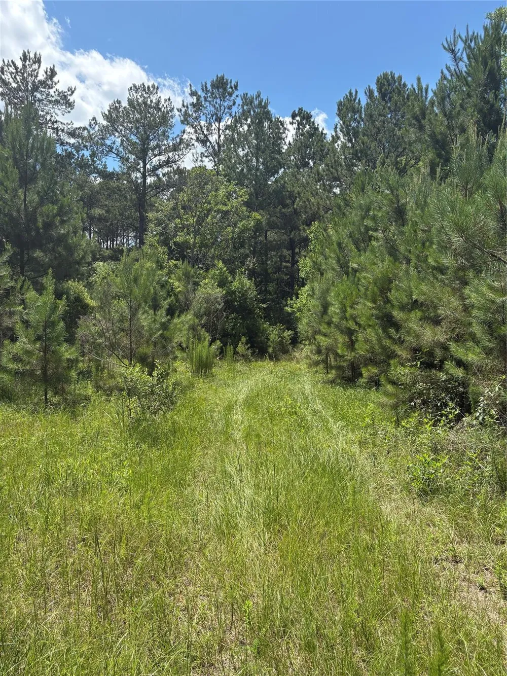 3133 County Road 4525 Warren, TX 77664