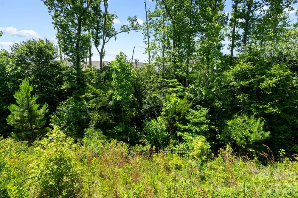 6008 Britannia Boulevard Waxhaw, NC 28173