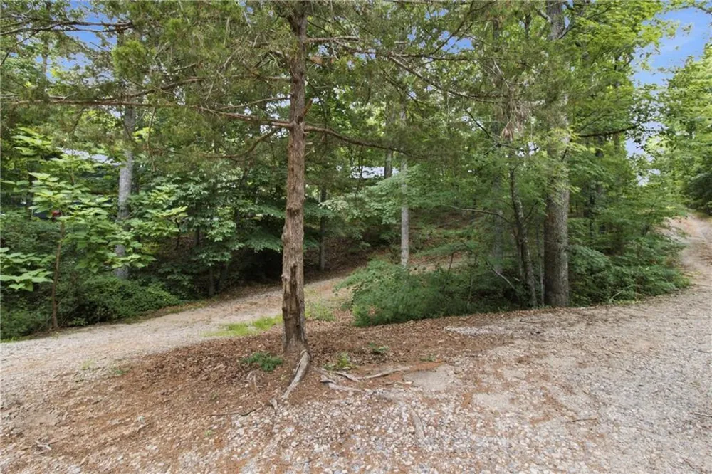 3349 Chestatee Road Gainesville, GA 30506