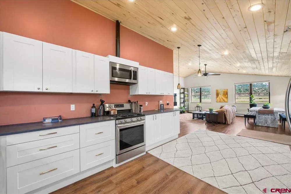 590 Palomino Trail Ridgway, CO 81432