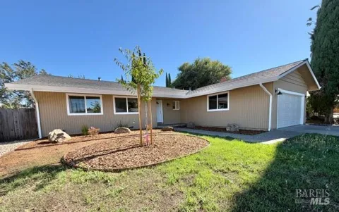 387 Tulip Street
