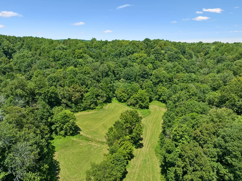 3025 Knob Creek Rd Columbia, TN 38401