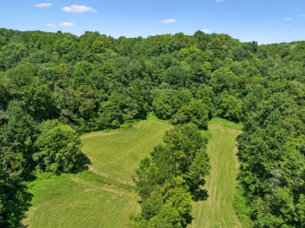 3025 Knob Creek Rd Columbia, TN 38401