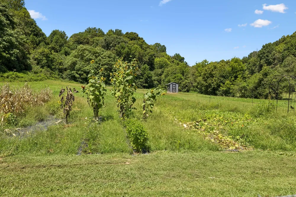 3025 Knob Creek Rd Columbia, TN 38401