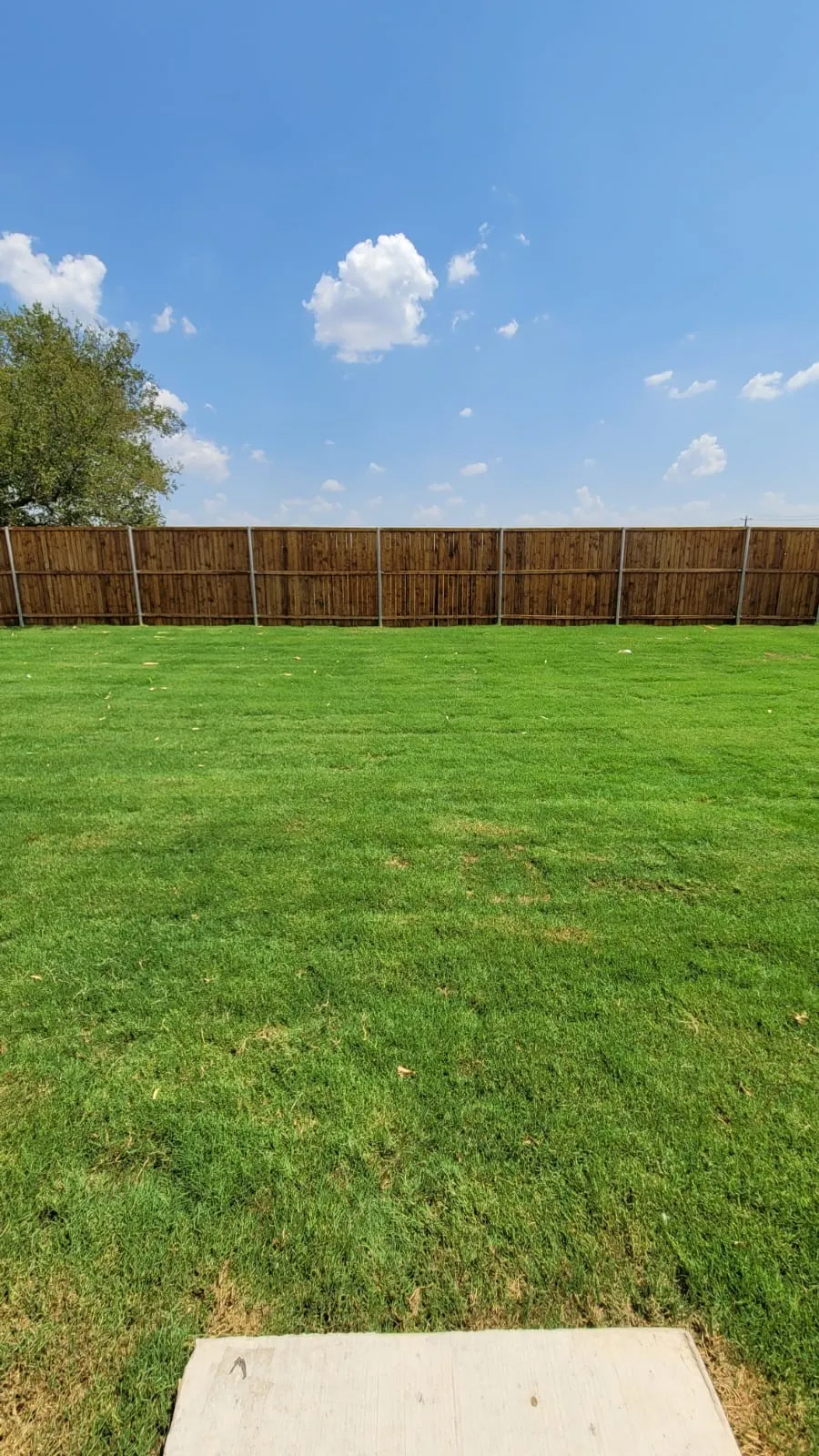1919 Rolling Ridge Drive Van Alstyne, TX 75495