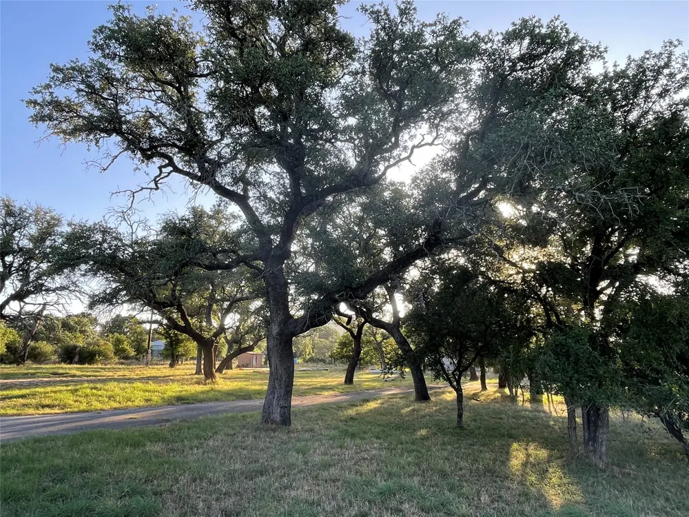 110 Wolf Run Burnet, TX 78611