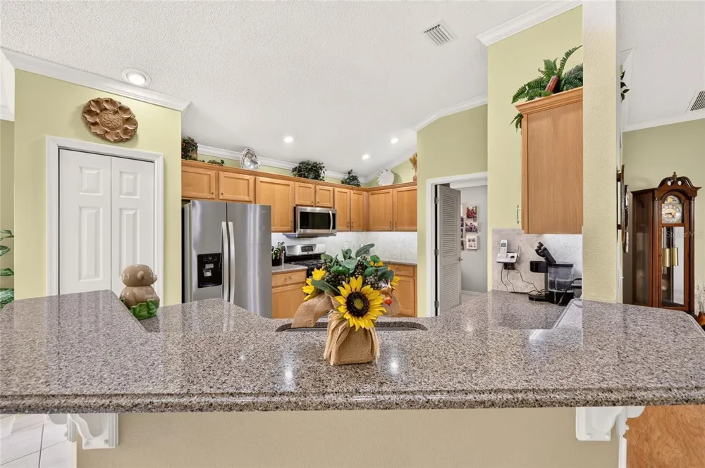 16822 SE 93RD CUTHBERT CIRCLE The Villages, FL 32162