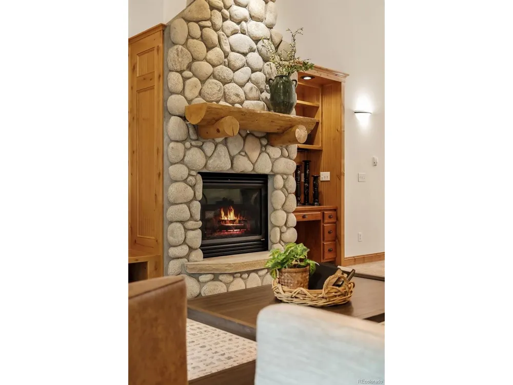 31276 Stone Canyon Road #204 Evergreen, CO 80439