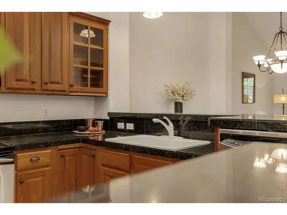 31276 Stone Canyon Road #204 Evergreen, CO 80439