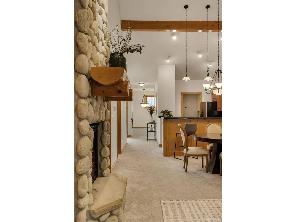 31276 Stone Canyon Road #204 Evergreen, CO 80439