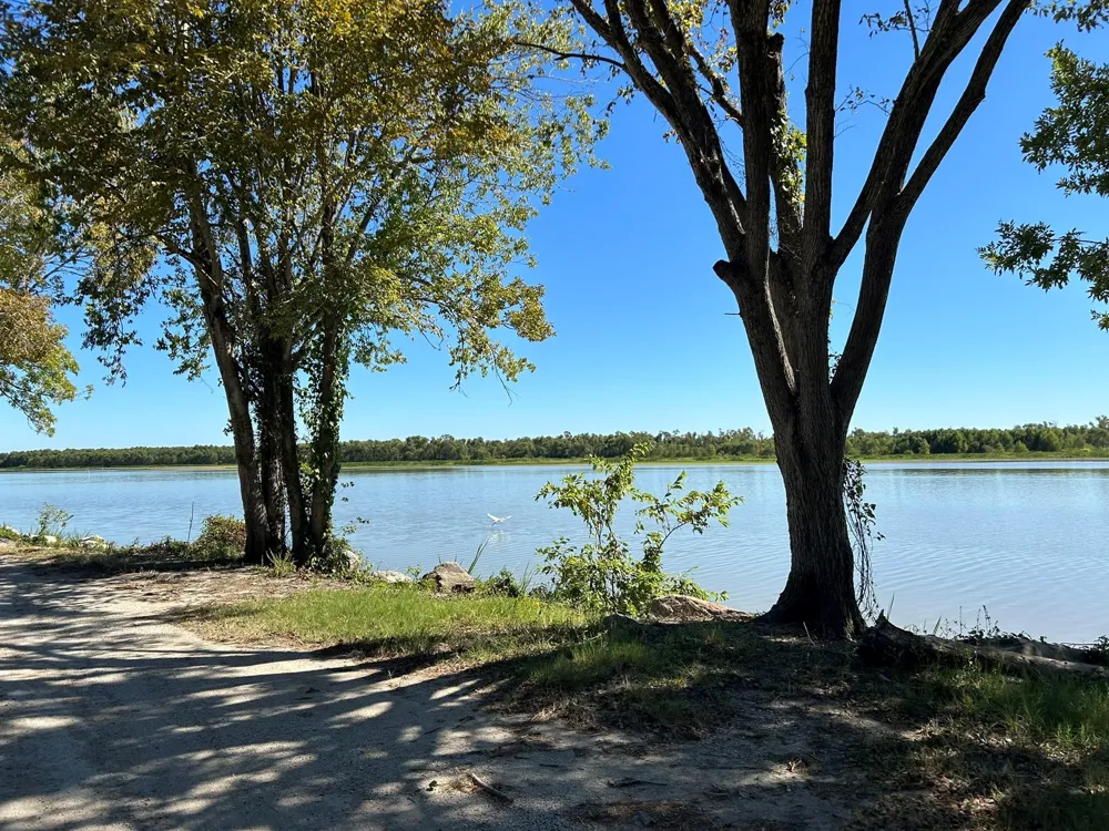496 Campground Road Trinity, TX 75862