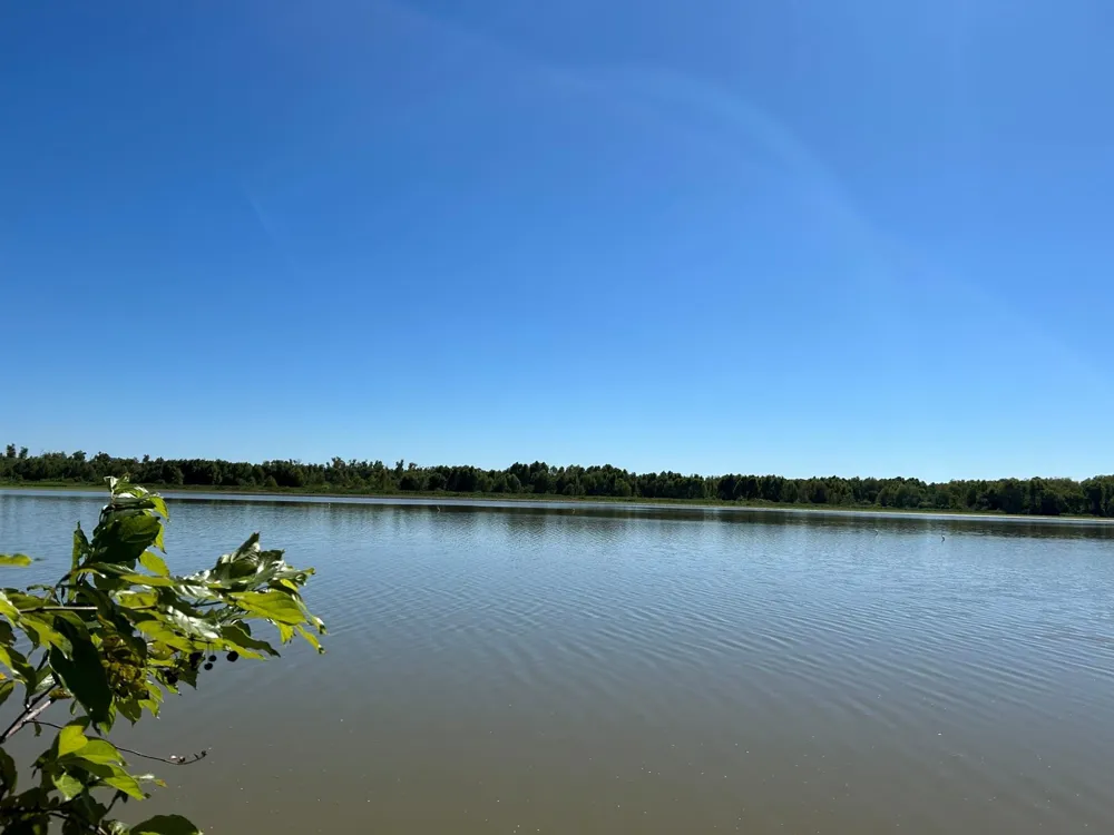 496 Campground Road Trinity, TX 75862