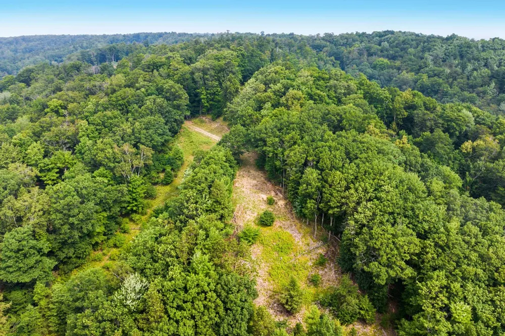Woodsmere Road Frankfort City, MI 49617