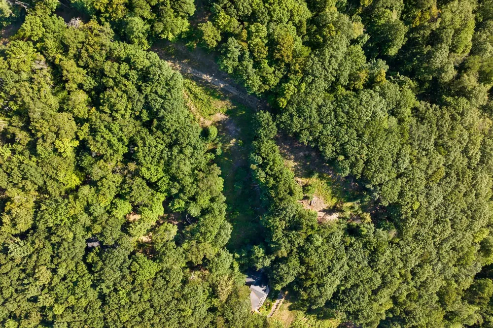 Woodsmere Road Frankfort City, MI 49617