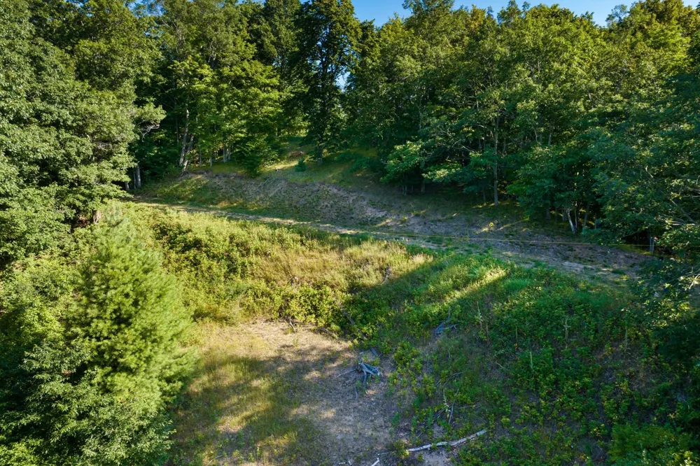 Woodsmere Road Frankfort City, MI 49617