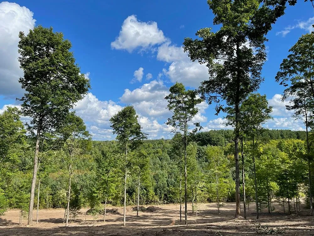 5748 Paradise Ranch Paradise Township, MI 49649