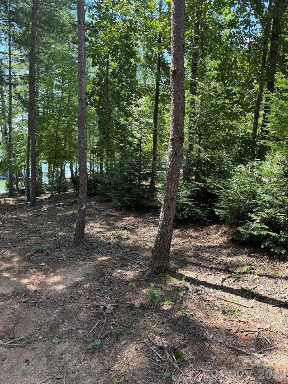 3089 W Moonlight Place Morganton, NC 28655