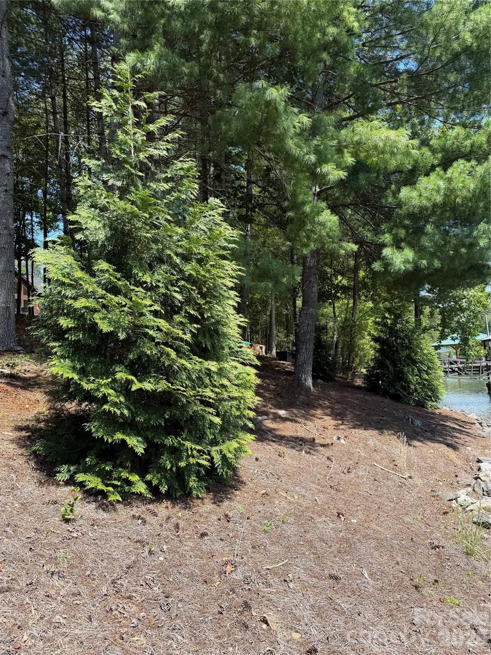 3089 W Moonlight Place Morganton, NC 28655