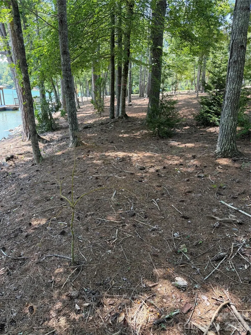 3089 W Moonlight Place Morganton, NC 28655