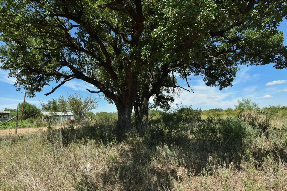 420 Maddox Eden, TX 76837