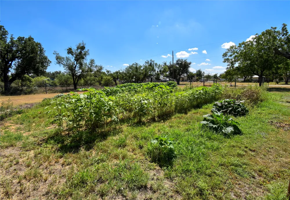 420 Maddox Eden, TX 76837