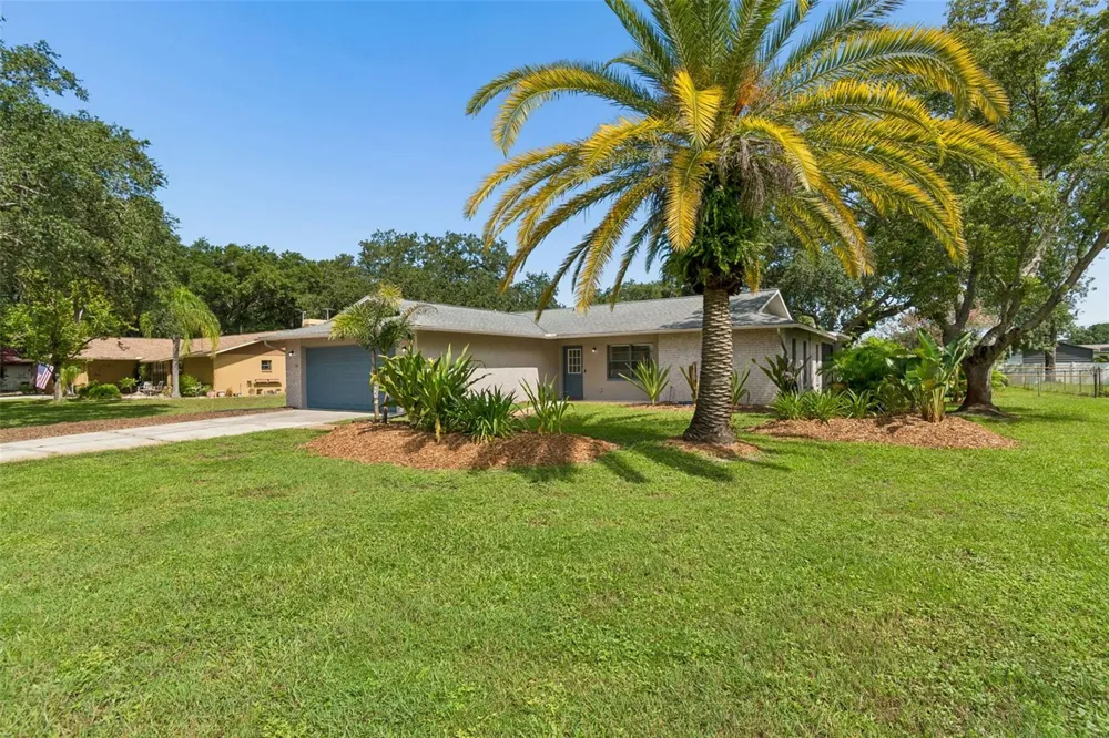 9329 AMAZON DRIVE New Port Richey, FL 34655